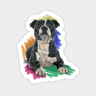 The Staffordshire Bull Terrier Sticker